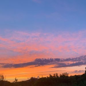 Meet your Posher, Ashlyn